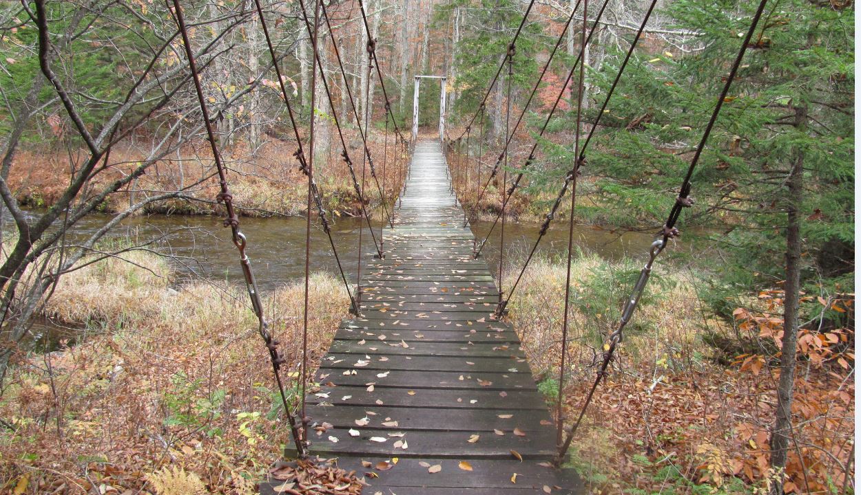 Hamilton Lake Stream Bridge on the Northville-Placid Trail
