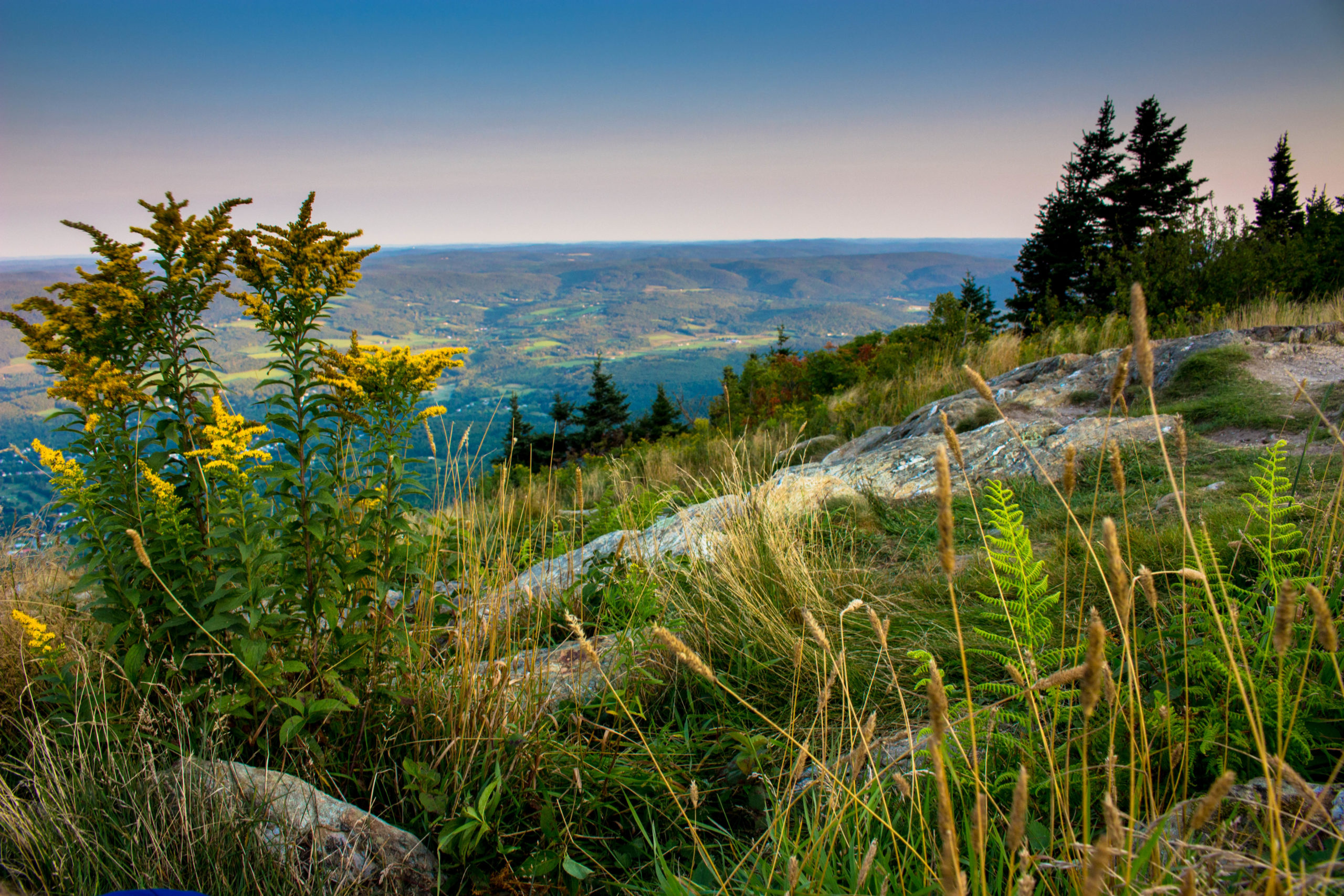 Sept. 4, 2016. Mt. Greylock, Mt. Greylock State Reservation, Massachusetts-- AMC Photo Contest entry in the Landscapes and Nature category in 2017. Photo by David James.
