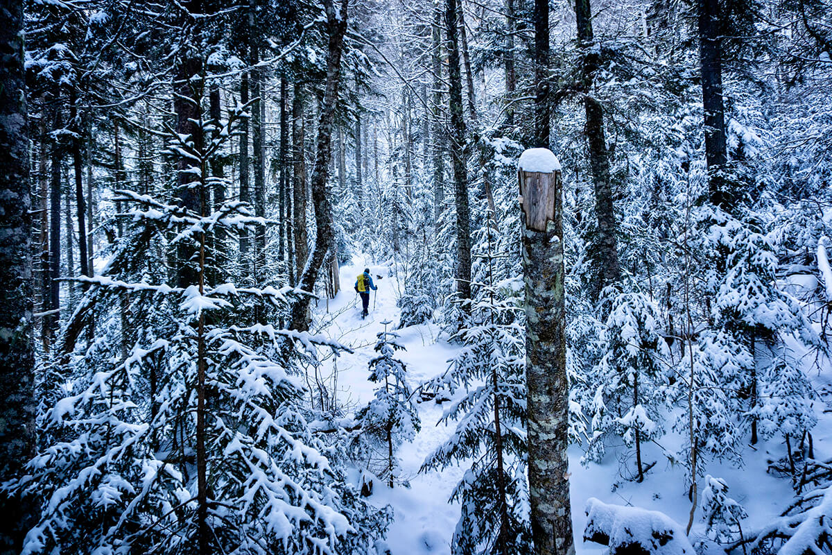 winter hiking in Old Speck Mountain, Oxford County, Maine
