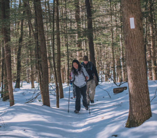Feb. 16, 2019. New England Trail, Erving, Massachusetts-- An AMC Worcester Chapter hike. Photo by Paula Champagne.