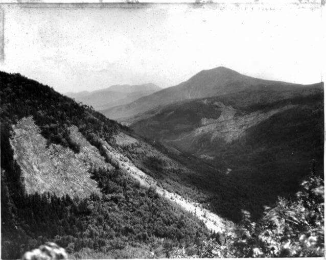 View In The Pemigewasset Wilderness 1910s Ls 36 18 1 638x509